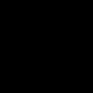 Meet your Posher, Santa